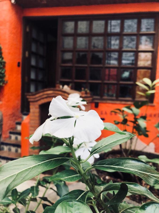 فندق Casa Azul غواناخواتو المظهر الخارجي الصورة